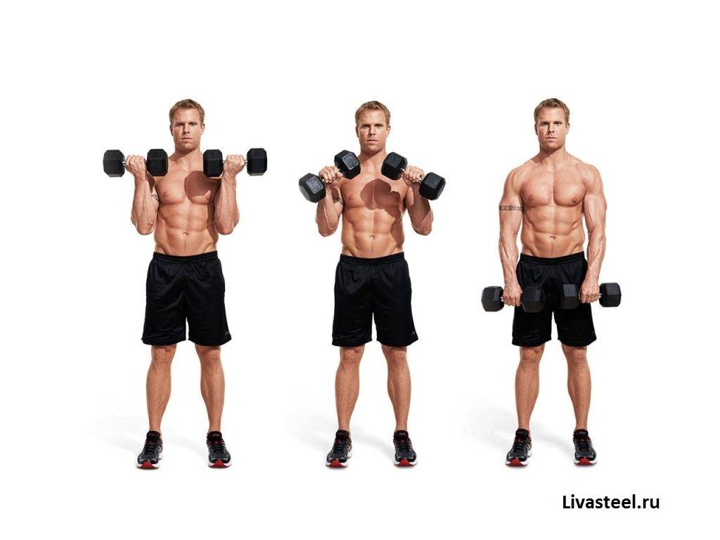 Паучьи сгибания рук