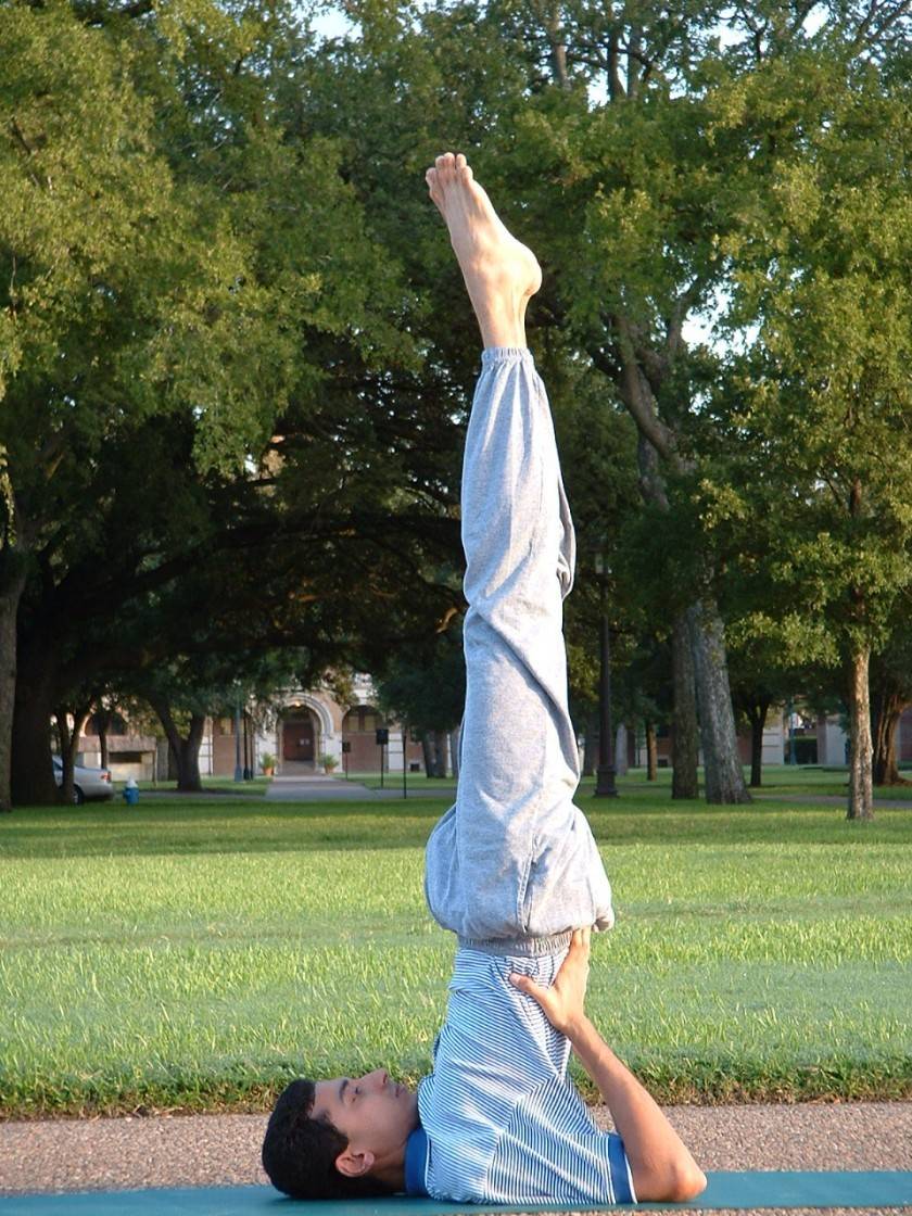 Упражнение березка: как правильно делать, польза и противопоказания