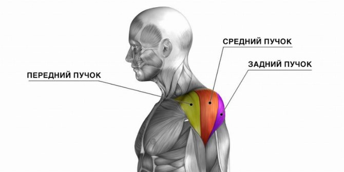 Отведение руки в сторону на блоке