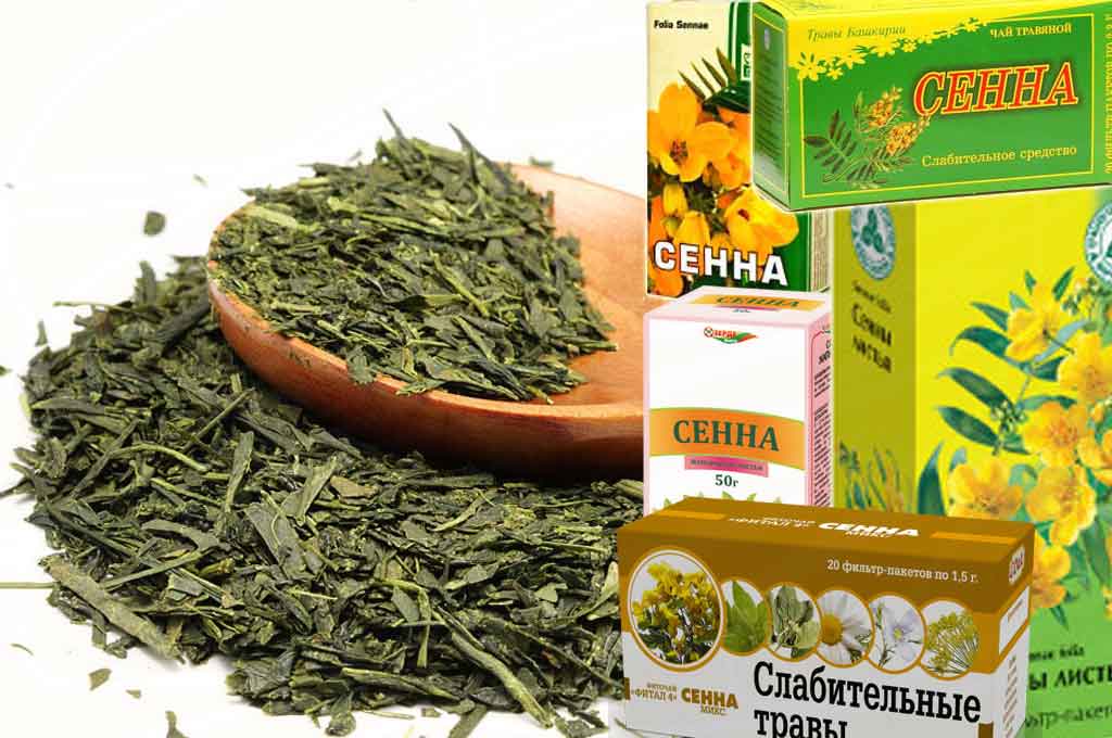 Сенна Мекканская для похудения: способ применения и как пить в капсулах?