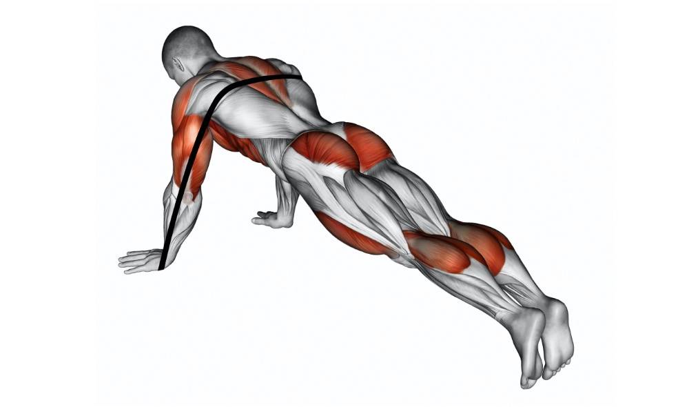 Как накачать грудь девушке: упражнения для мышц груди