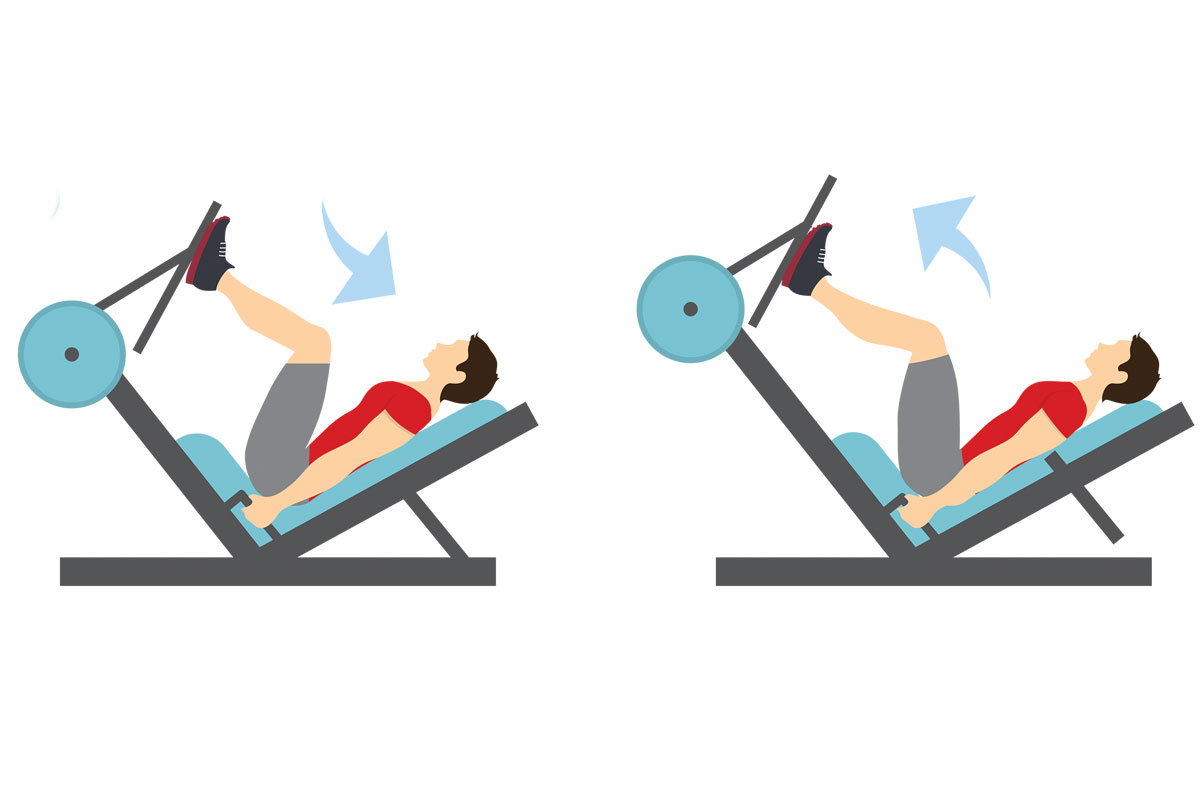 Программа тренировок в зале на массу