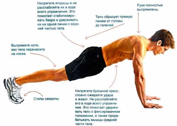 Программа 100 отжиманий за 6 или 7 недель: как научиться отжиматься 100 раз