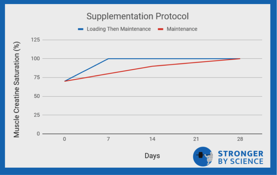 Креатин — как работает, безопасность