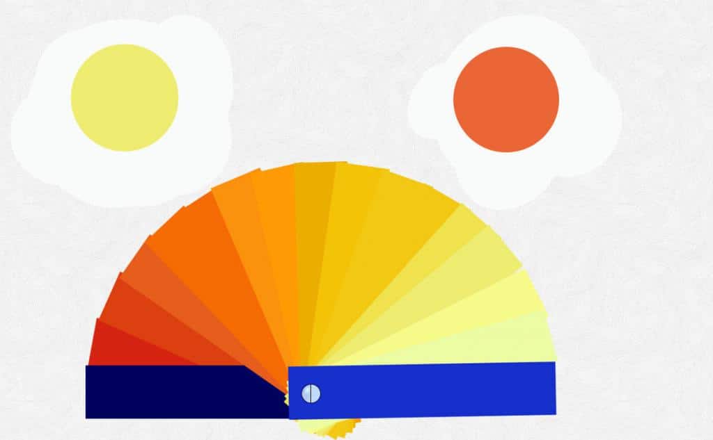 От чего зависит цвет желтка в яйце: как он связан со здоровьем курицы?