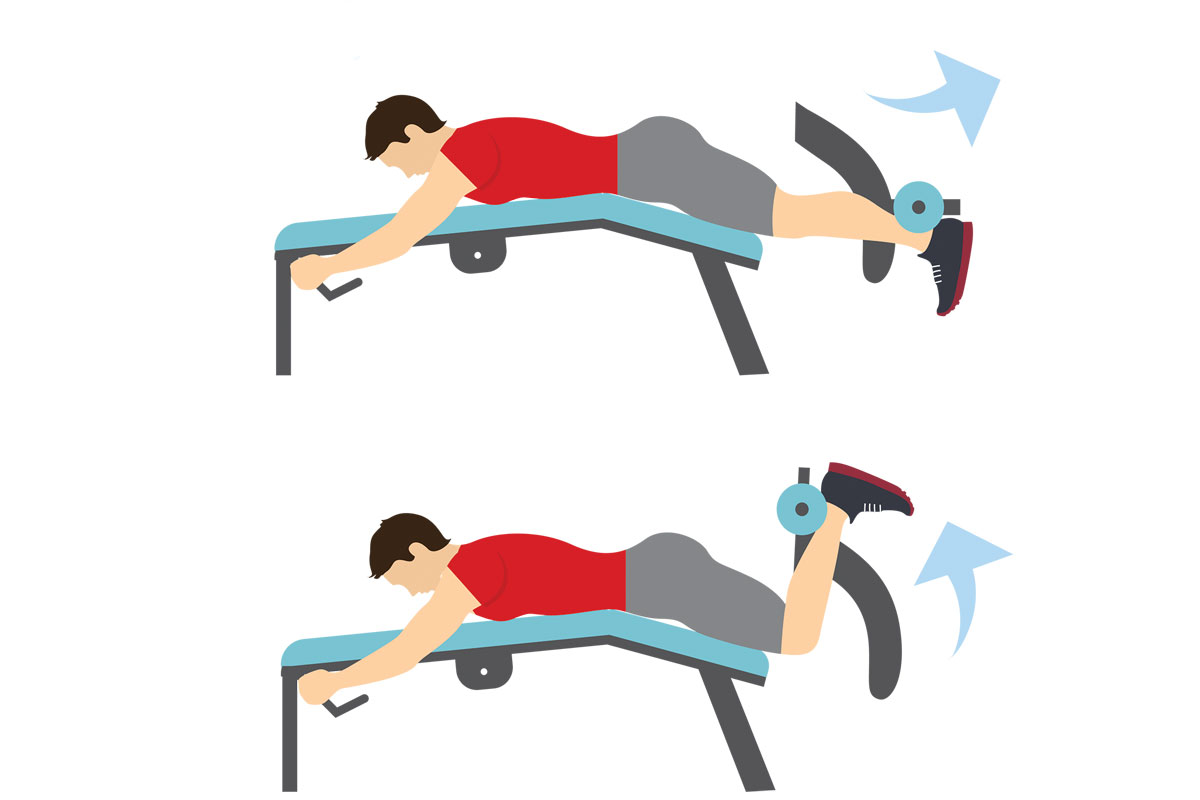 Программа тренировок в зале на массу