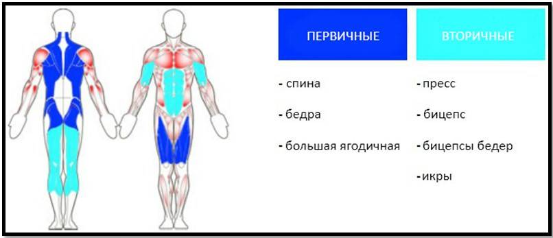 Румынская тяга с гантелями
