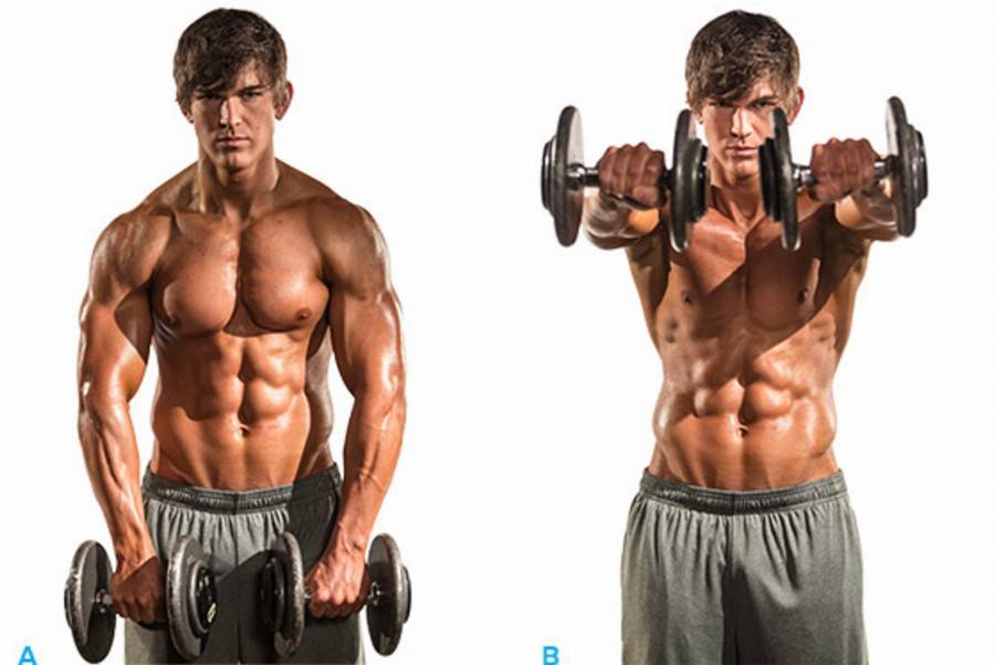 Подъем гантелей на бицепс: варианты стоя и сидя