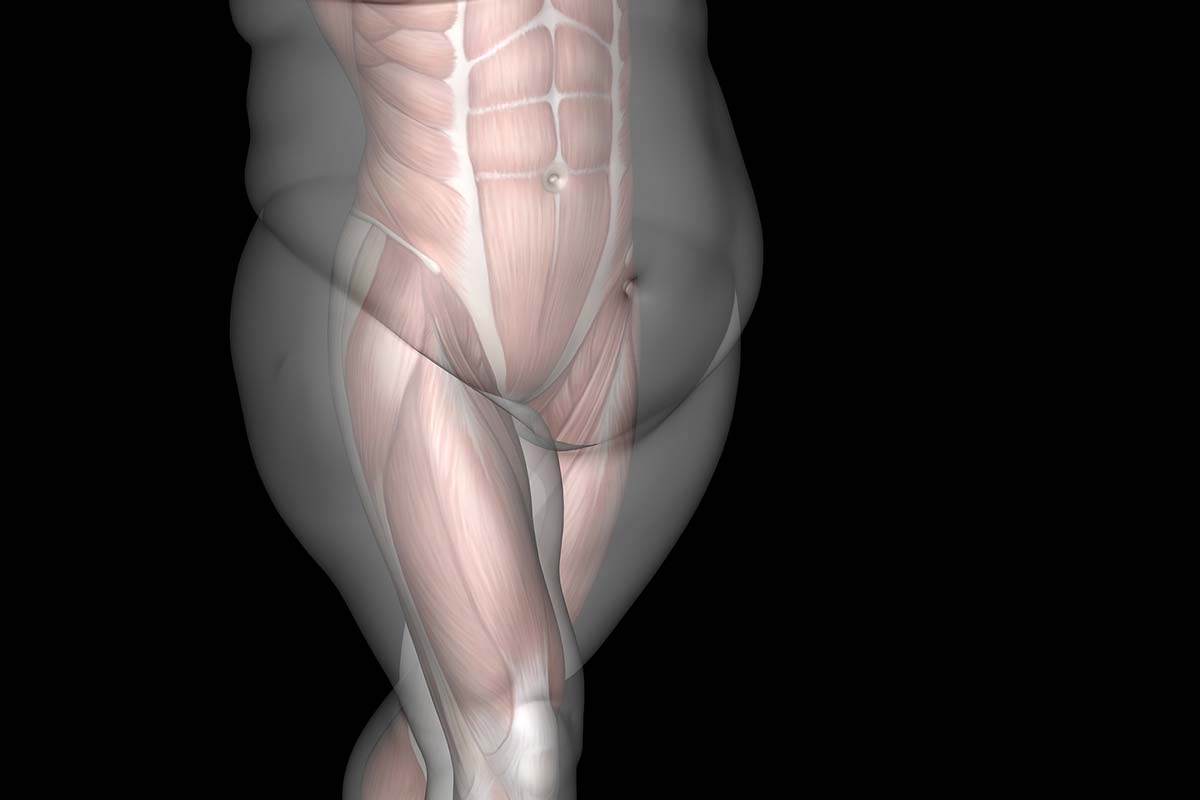 Можно ли одновременно похудеть и накачаться?