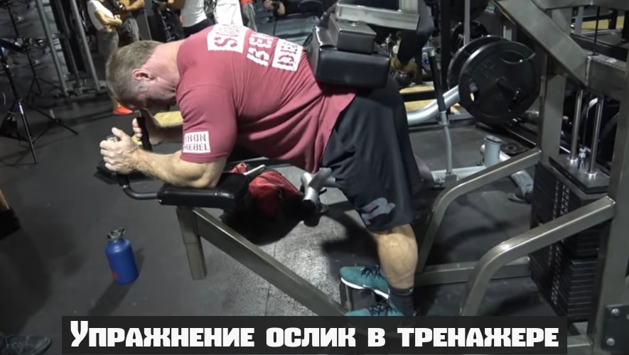 Упражнение ослик