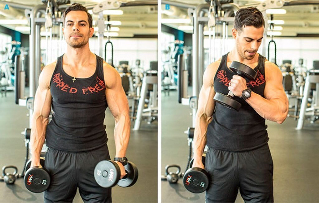 Упражнение молотки с гантелями: как выполнять подъем на бицепс
