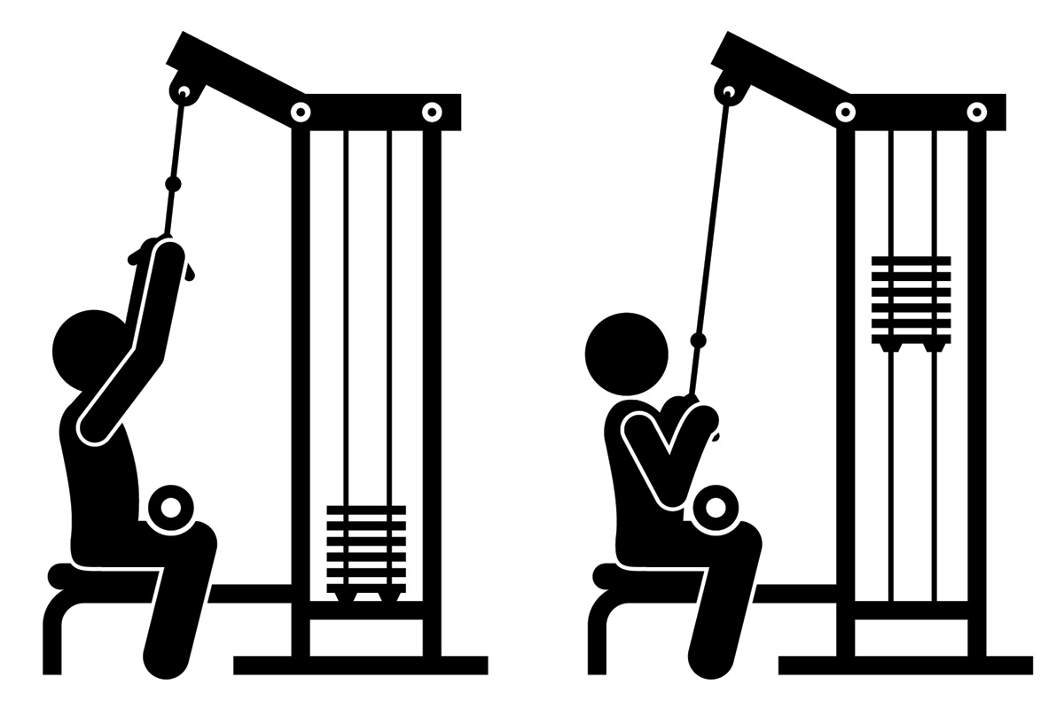 Упражнения на спину с гантелями для мужчин и женщин