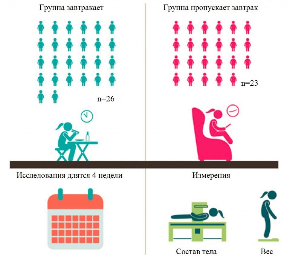 Нужно ли завтракать?