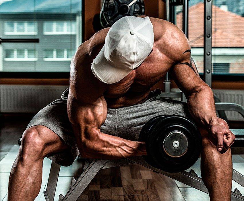 Подъем штанги на бицепс обратным хватом