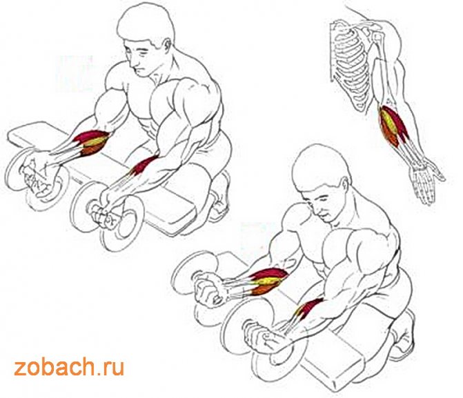 За сколько можно накачать грудные мышцы: эффективные упражнения, техника выполнения, фото - tony.ru