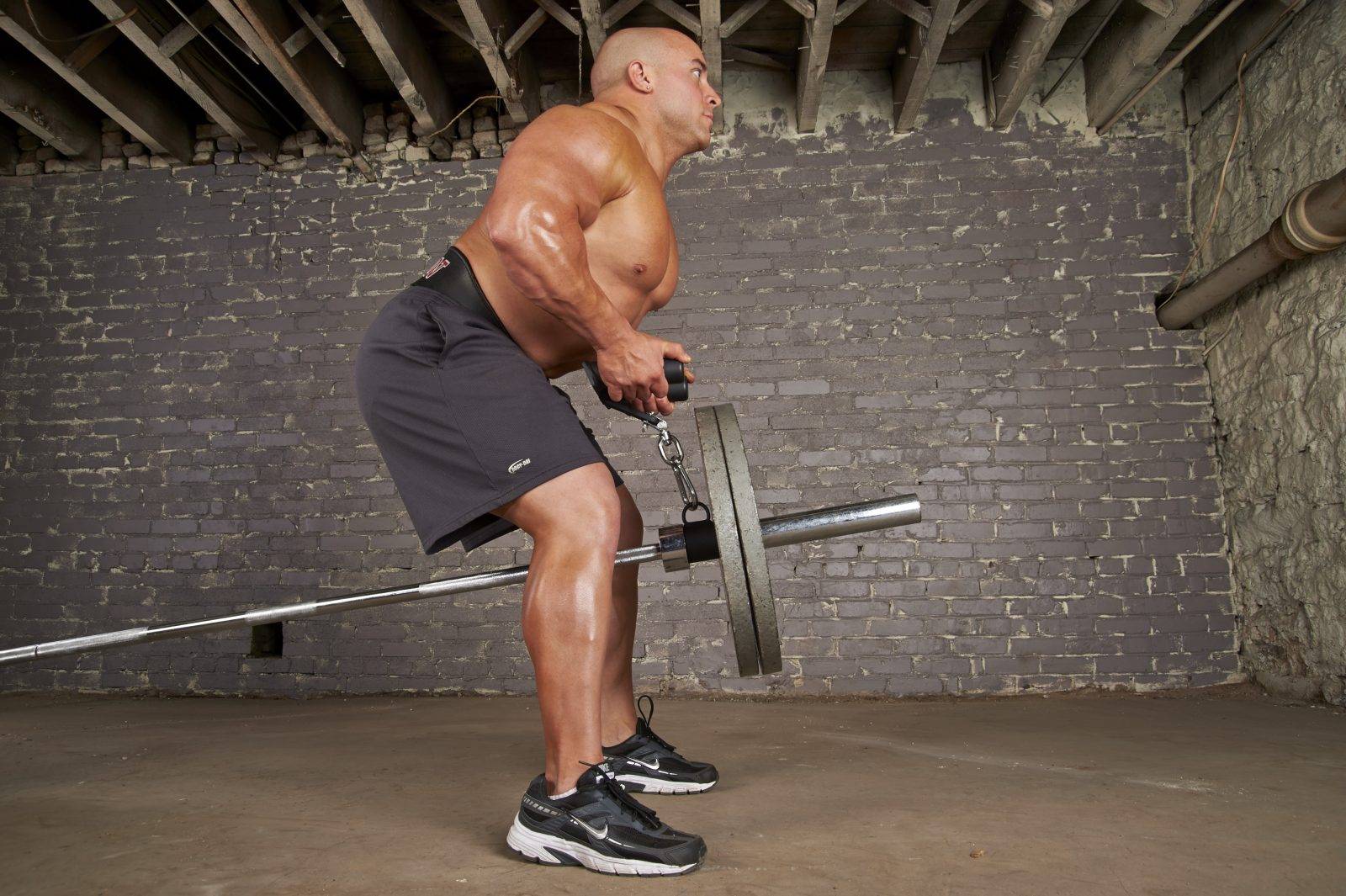 Тяга к груди в наклоне со штангой и гантелями: техника на заднюю дельту