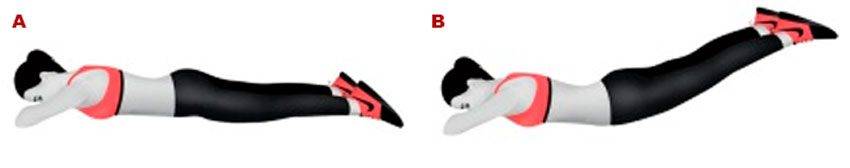 Как накачать упругую попу