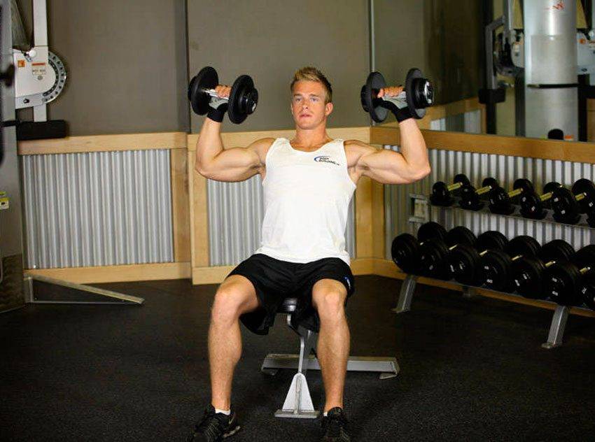 Махи гантелями сидя