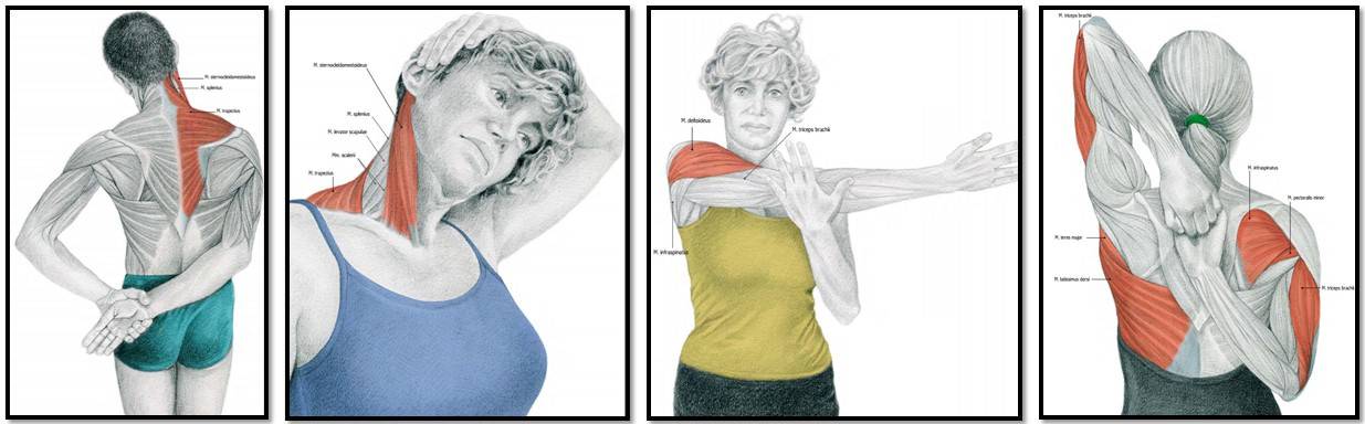 Полушпагат: техника выполнения