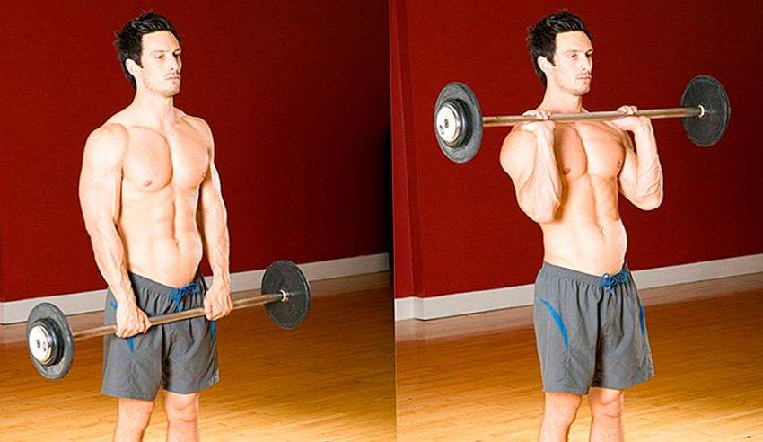 Паучьи сгибания – одно из самых недооцененных и необычных движений для бицепса