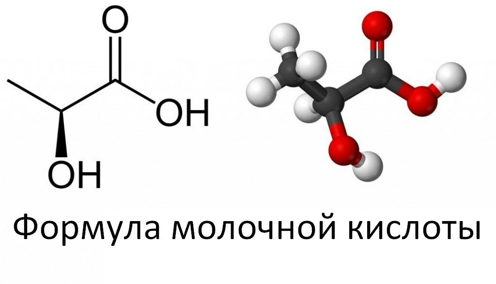Молочная кислота в мышцах – что это, как вывести и стоит ли?