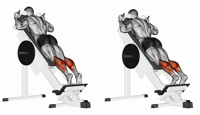 Подъемы на носки стоя и сидя