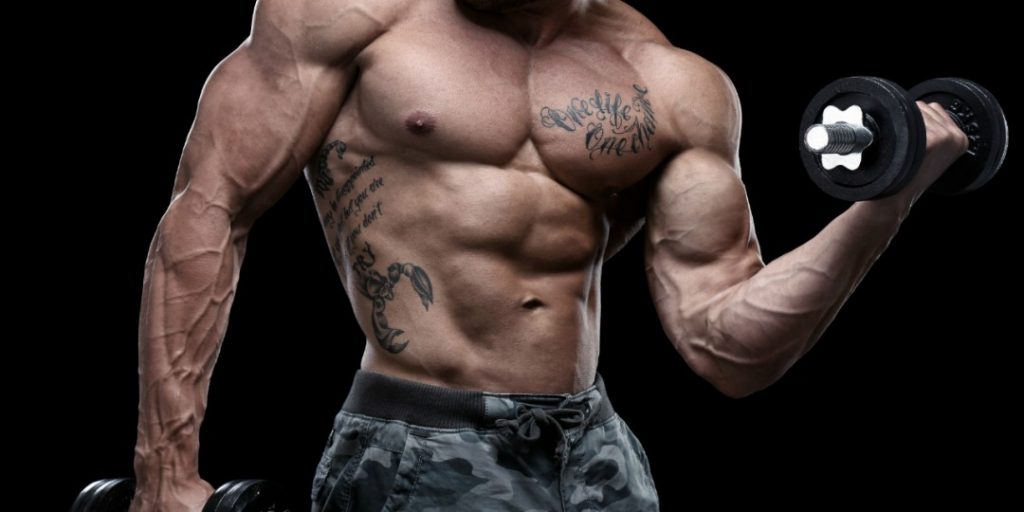 Эффективность ZMA