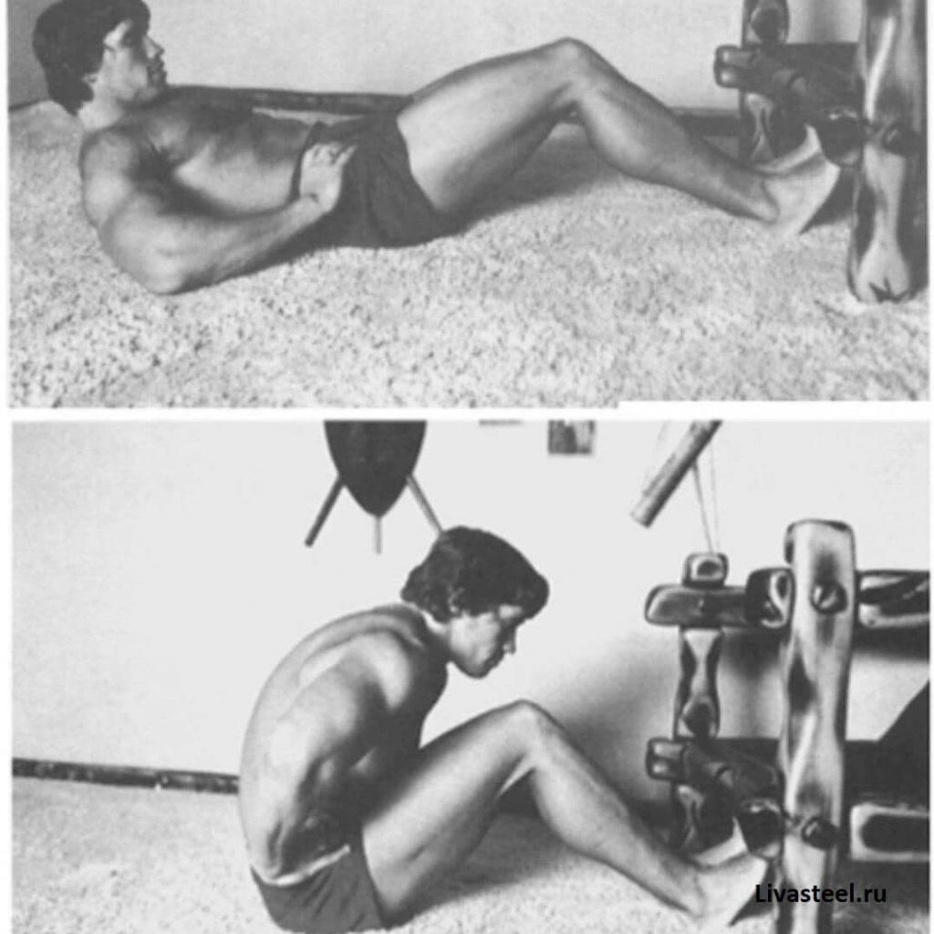 Программа тренировок Арнольда Шварценеггера — как тренировался знаменитый атлет?