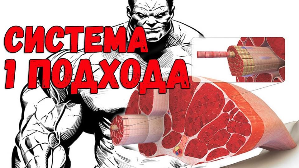 Сколько делать повторений в подходе?