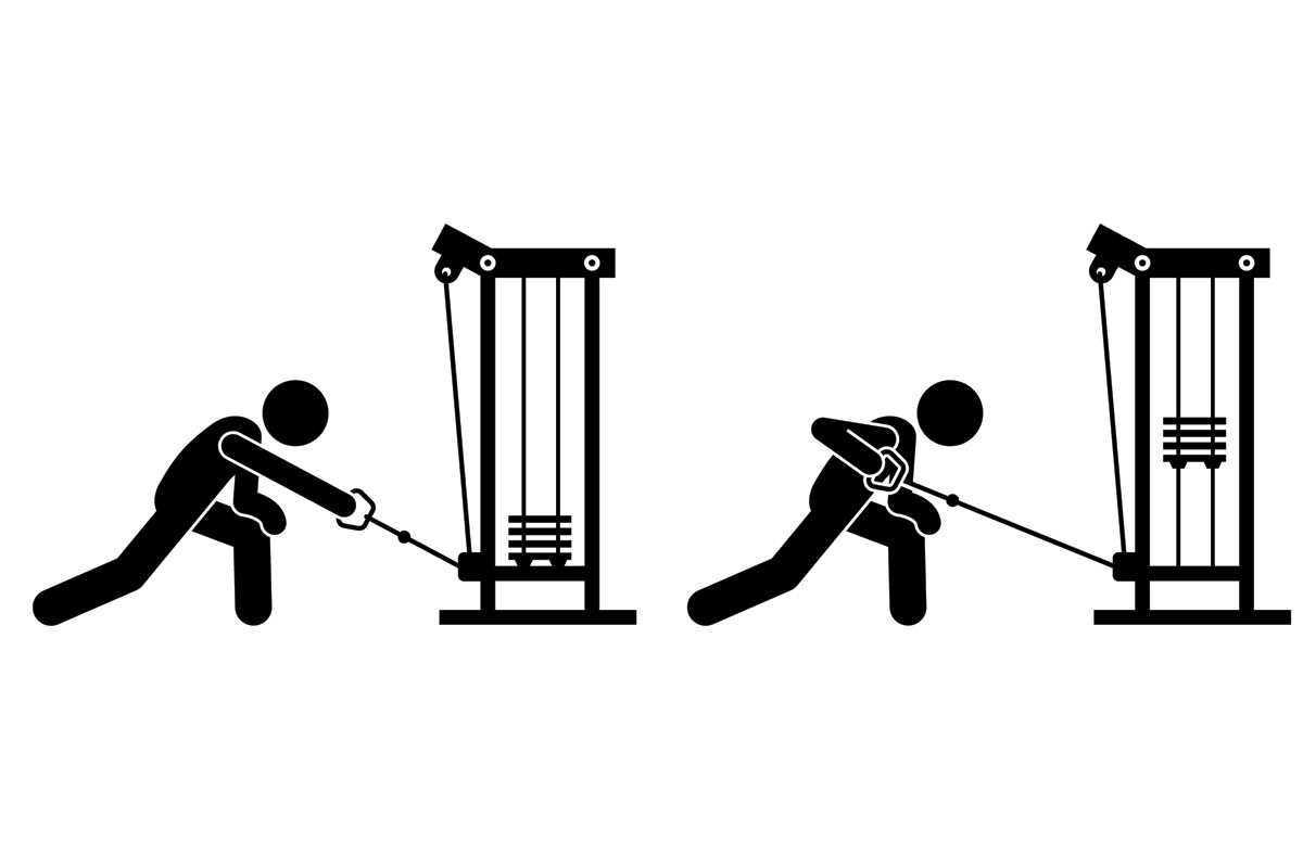 Упражнения на спину с гантелями для мужчин и женщин