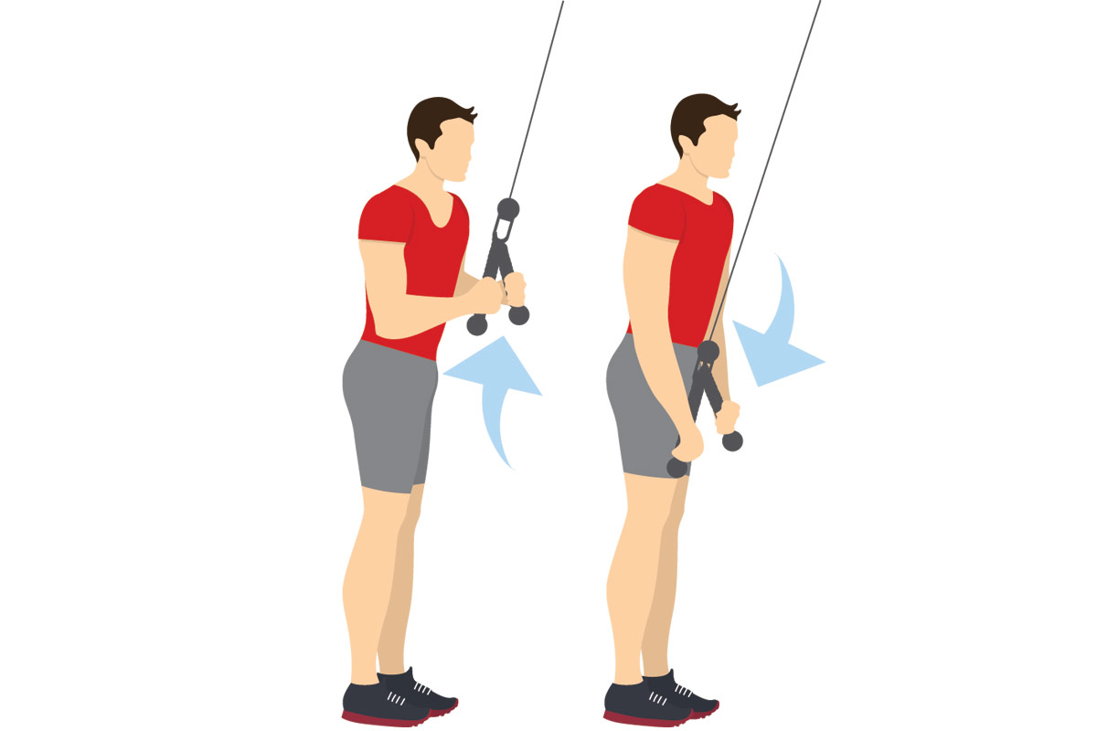 Программа тренировок в зале на массу