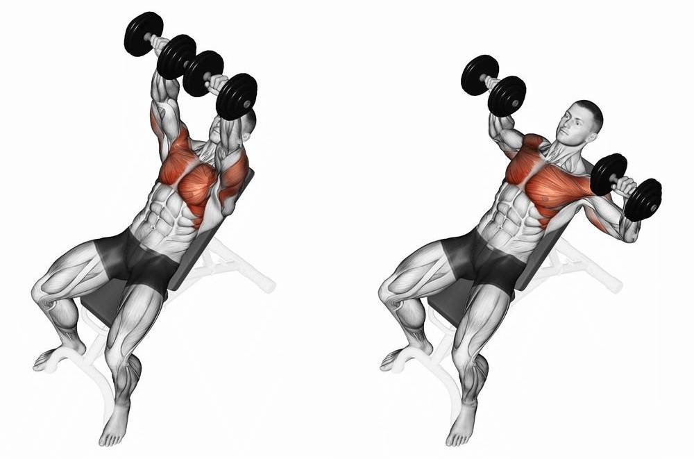 Как накачать верхнюю часть грудных мышц: лучшие упражнения