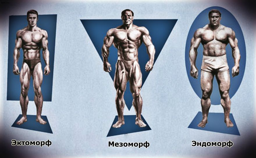 Питание для набора мышечной массы мужчинам: рацион и диета на неделю