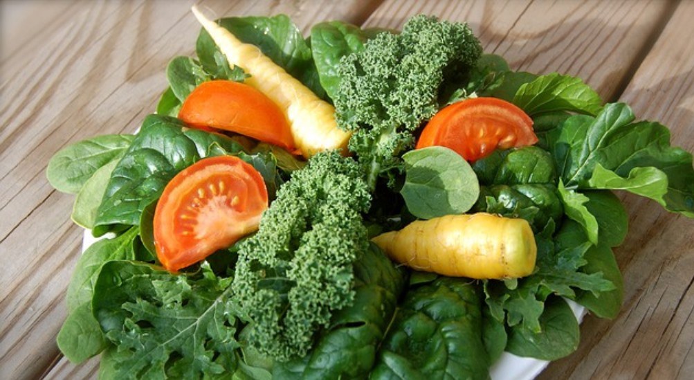 Поль Брегг: гениальный мошенник или безобидный Мюнхгаузен — об его откровенном обмане и неточностях биографии