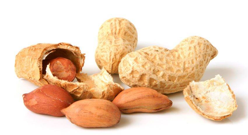 Смело ешьте орехи и продолжайте терять вес