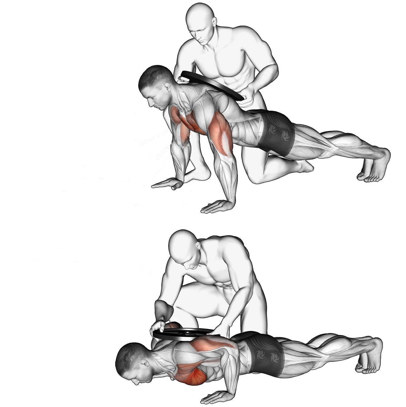 Как накачать грудь девушке: упражнения для мышц груди