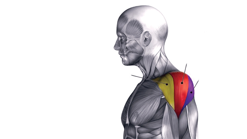 Как быстро накачать крылья