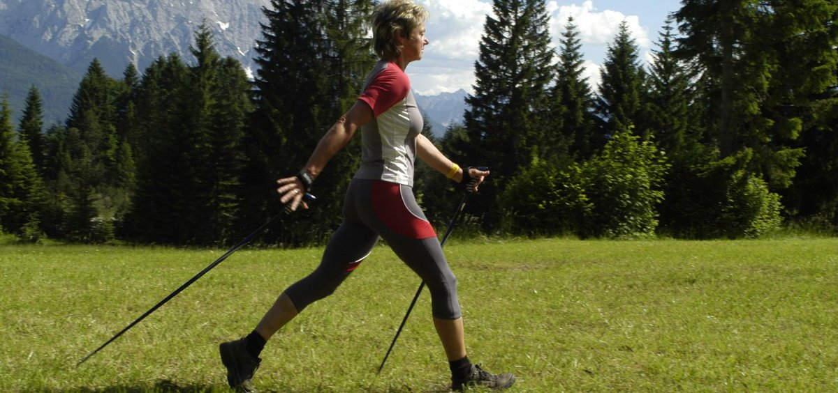 Палки для скандинавской ходьбы – как выбрать, таблица по росту, лучшие модели