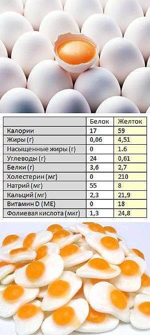 В каких продуктах содержится наибольшее количество белков, таблица