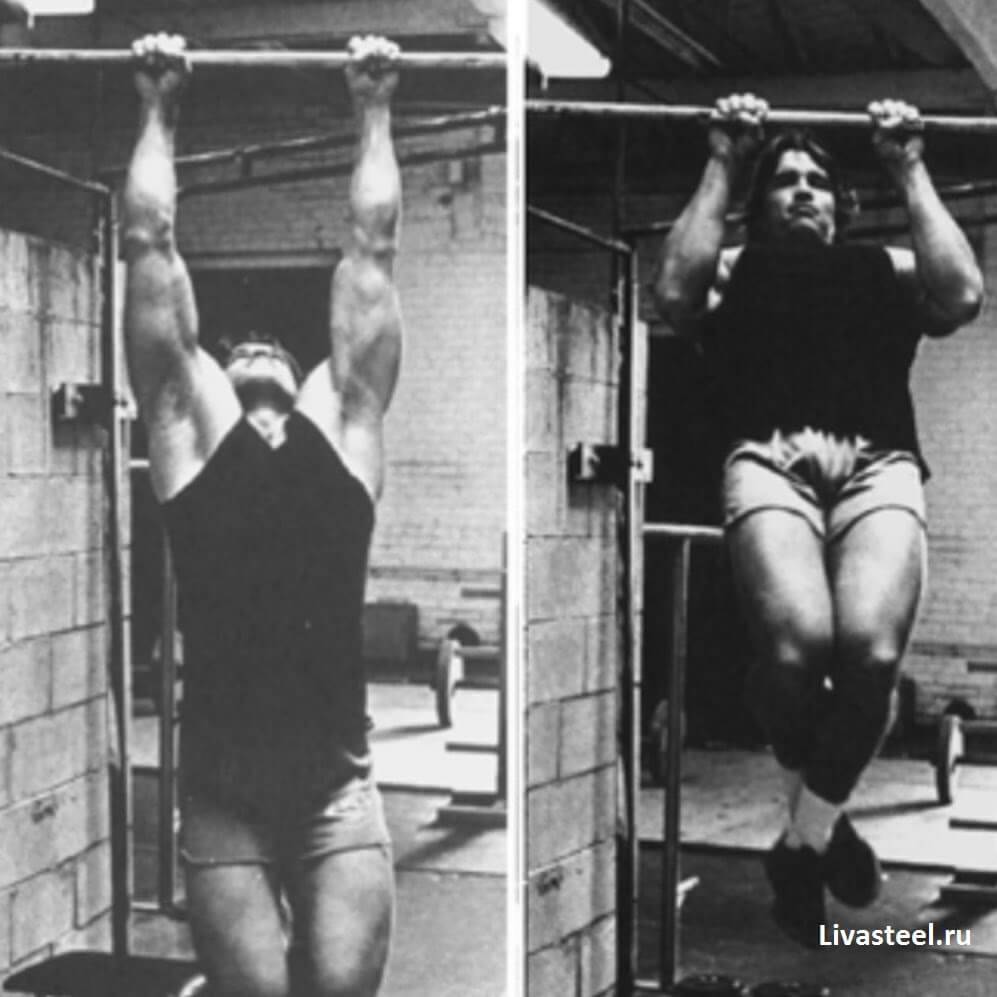 Программа тренировок Арнольда Шварценеггера — как тренировался знаменитый атлет?