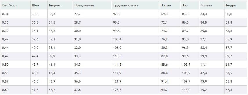 Замеры тела в бодибилдинге