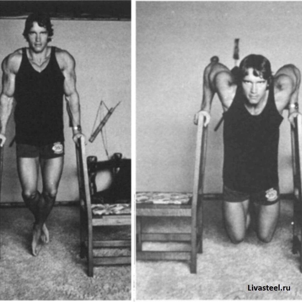 Программа тренировок Арнольда Шварценеггера — как тренировался знаменитый атлет?