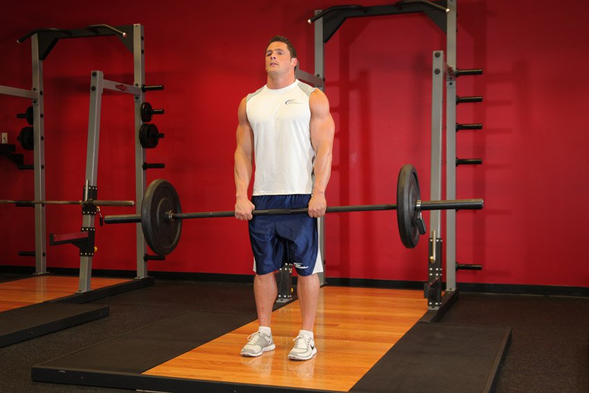 Программа тренировок для набора массы