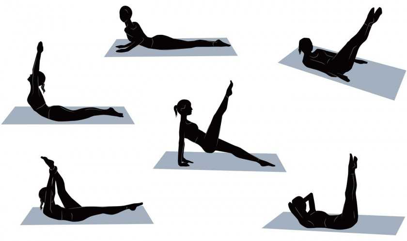 Упражнения для укрепления мышц спины в домашних условиях и зале