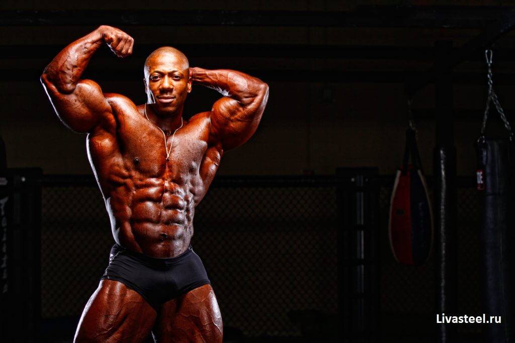 Рацион победителей Мистер Олимпия — как питаются чемпионы?