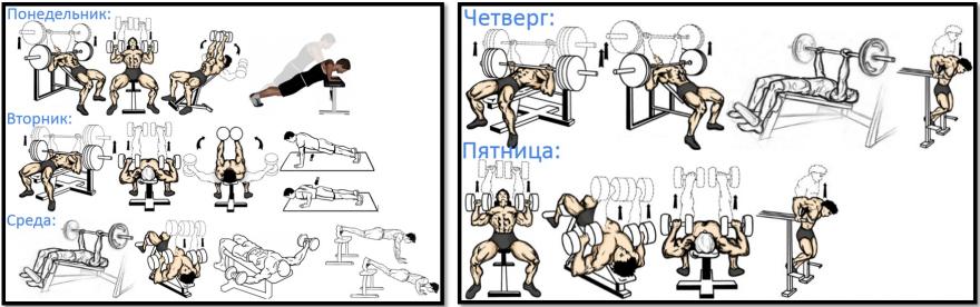 Эффективная программа тренировок в зале для похудения