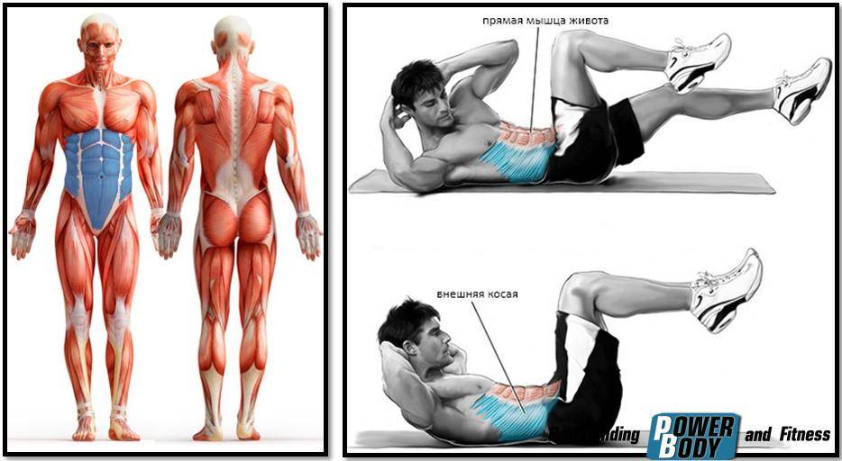 Упражнение лягушка – простая и действенная поза для развития растяжки и гибкости