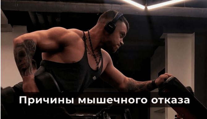 Советы для набора мышечной массы и силы