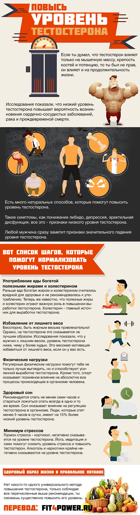 Диета для повышения тестостерона у мужчин: на что обратить внимание, список продуктов, которые повышают тестостерон и запретные продукты, меню на каждый день